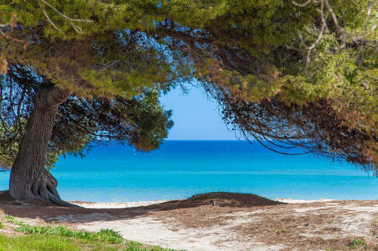 Formentera 2 Villa Can Picafort  Buitenkant foto